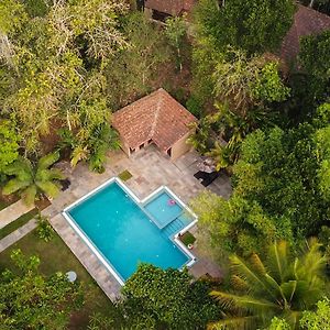 Raindrops Resorts Wayanad